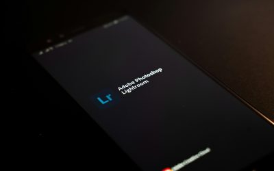 Keeping Up with WordPress Updates