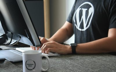 Essential WordPress Website Care Tips